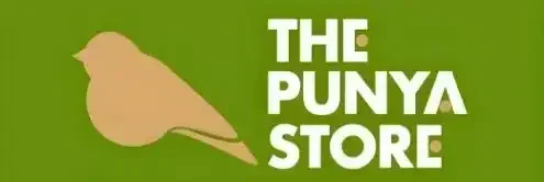 thepunyastore.com